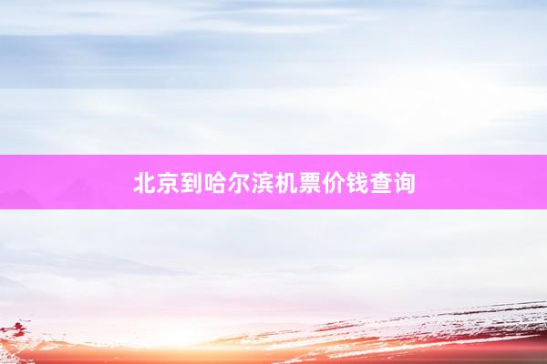 北京到哈尔滨机票价钱查询