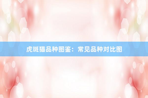虎斑猫品种图鉴：常见品种对比图