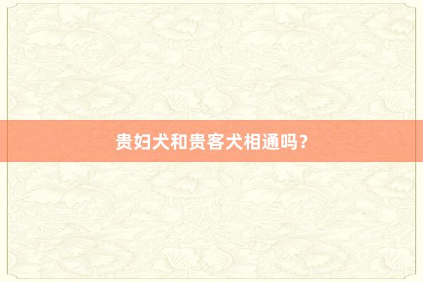 贵妇犬和贵客犬相通吗？